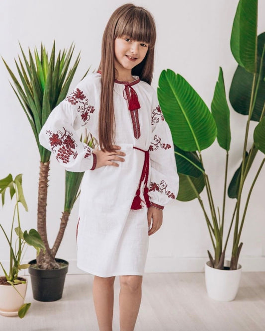 Traditional Vishivanka Dress (White & Embroidery,Kid)